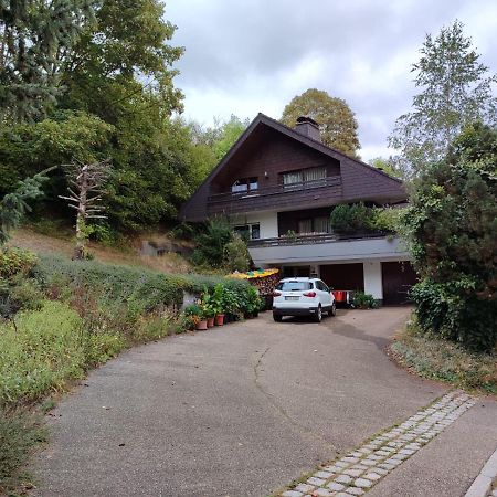 Feldbergsicht Apartment Lenzkirch Exterior photo
