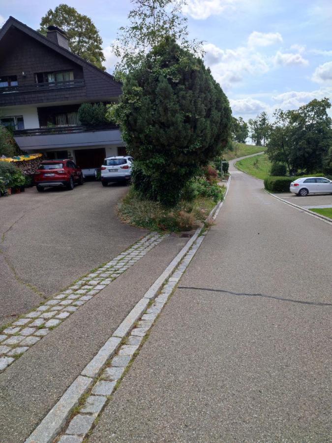 Feldbergsicht Apartment Lenzkirch Exterior photo