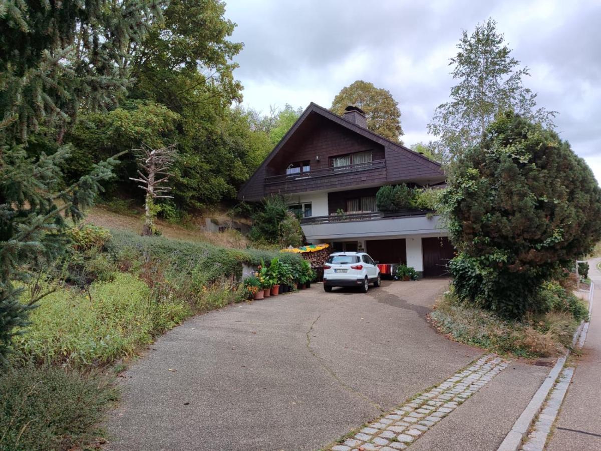 Feldbergsicht Apartment Lenzkirch Exterior photo